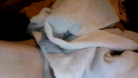 Snapshot of royboy2561 chatting on October 11, 2025, 9:08 am Roy Murrin online show from October 11, 2025, 9:08 am