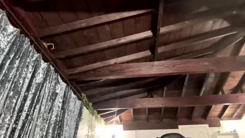 Richhancocc online show from January 19, 2026, 1:15 pm