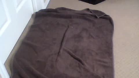 rp4funrp online show from July 15, 2026, 2:50 am