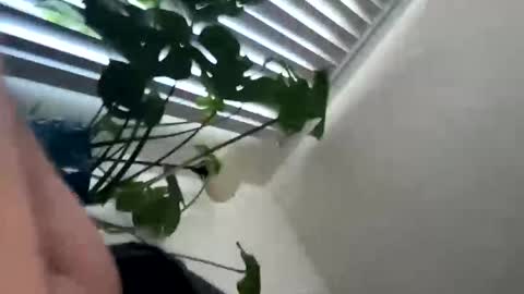 Snapshot of rula___1 chatting on February 4, 2026, 10:47 pm rula___1 online show from February 4, 2026, 10:47 pm