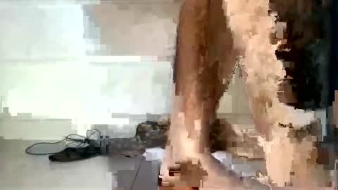 Snapshot of rumel_desi chatting on December 5, 2024, 6:33 pm tareq online show from December 5, 2024, 6:33 pm