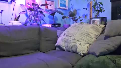 ryantate_88 online show from December 23, 2025, 3:37 am