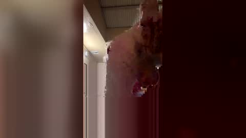 ryder868 online show from April 17, 2026, 7:33 am