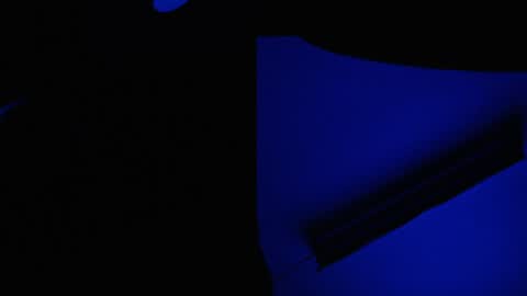 Snapshot of ryushi009 chatting on January 10, 2025, 3:39 am Ryushi009 online show from January 10, 2025, 3:39 am