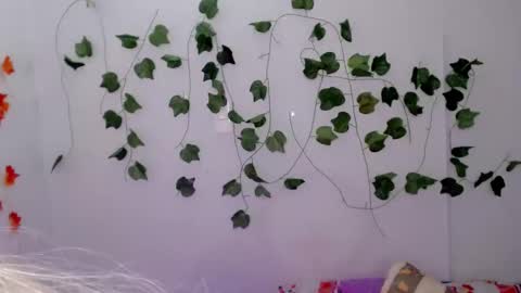 SABRI online show from January 26, 2025, 1:25 pm