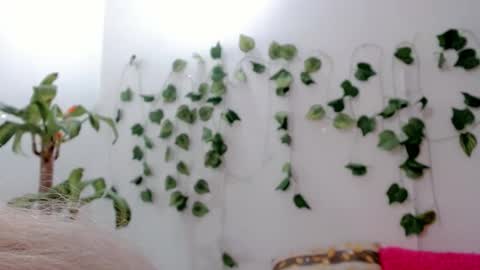 SABRI online show from September 25, 2025, 5:11 am