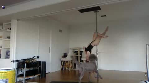 Snapshot of sadgirldies chatting on February 20, 2025, 12:52 am sadgirldies online show from February 20, 2025, 12:52 am