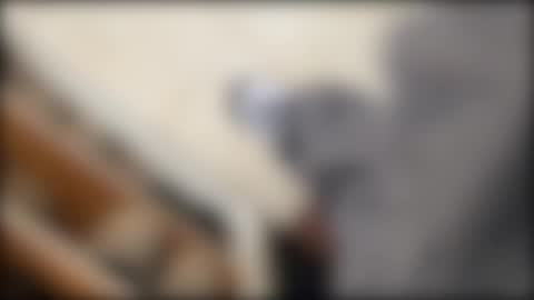 Snapshot of salgemma chatting on March 2, 2026, 3:19 pm salgemma online show from March 2, 2026, 3:19 pm