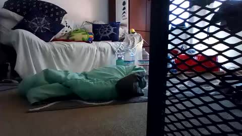 Snapshot of salis1981 chatting on February 7, 2025, 12:31 am salis1981 online show from February 7, 2025, 12:31 am