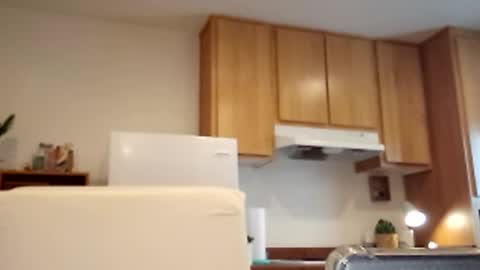 Snapshot of salis1981 chatting on March 2, 2025, 5:36 pm salis1981 online show from March 2, 2025, 5:36 pm