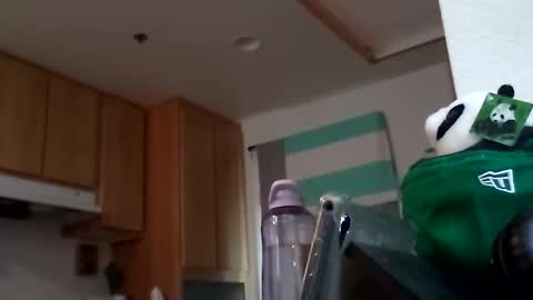 Snapshot of salis1981 chatting on September 18, 2025, 7:49 pm salis1981 online show from September 18, 2025, 7:49 pm