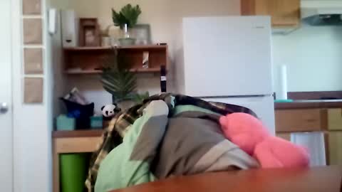 Snapshot of salis1981 chatting on October 16, 2025, 6:31 pm salis1981 online show from October 16, 2025, 6:31 pm