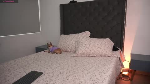 salomedyla online show from April 16, 2026, 9:39 pm