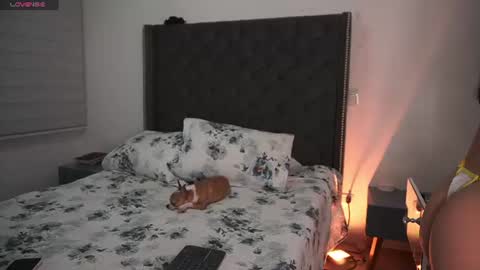 Snapshot of salomedyla chatting on July 8, 2026, 12:48 am salomedyla online show from July 8, 2026, 12:48 am