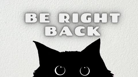 Salome online show from April 1, 2026, 2:56 am