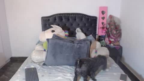 yenny online show from January 6, 2026, 3:21 am