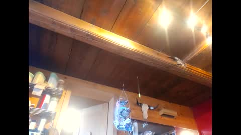 Snapshot of salsapaulus chatting on April 13, 2026, 12:10 pm salsapaulus online show from April 13, 2026, 12:10 pm