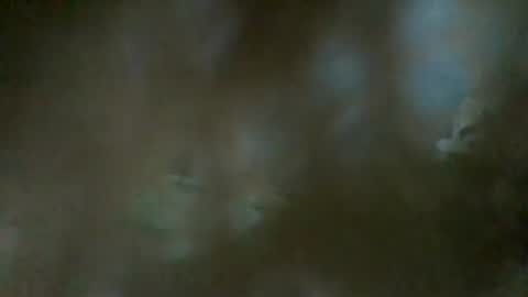 Snapshot of sam223382879 chatting on January 1, 2025, 11:40 pm sam223382879 online show from January 1, 2025, 11:40 pm