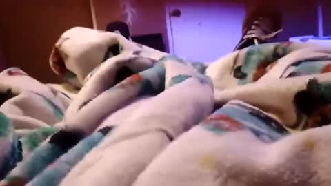 sam44444446 online show from November 27, 2025, 9:22 am