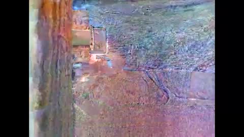 Snapshot of sam5554401727 chatting on April 26, 2026, 8:28 pm sam5554401727 online show from April 26, 2026, 8:28 pm