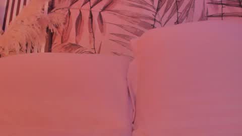 Samaantha  online show from December 22, 2025, 11:40 am