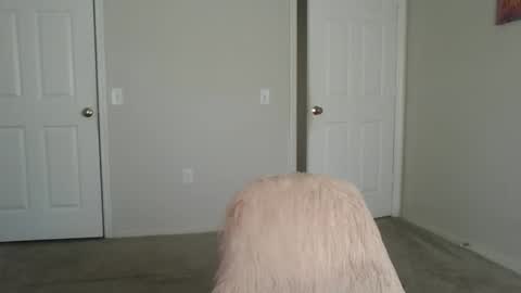 Snapshot of samanthaporsha chatting on September 15, 2025, 1:55 pm samanthaporsha online show from September 15, 2025, 1:55 pm