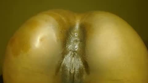 Snapshot of samanthjey chatting on November 14, 2025, 7:12 pm manth online show from November 14, 2025, 7:12 pm