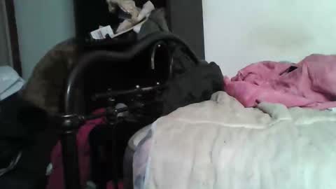 Snapshot of samedisamedi1nouveau chatting on December 5, 2025, 5:42 pm Samedisamedi1nouveau online show from December 5, 2025, 5:42 pm