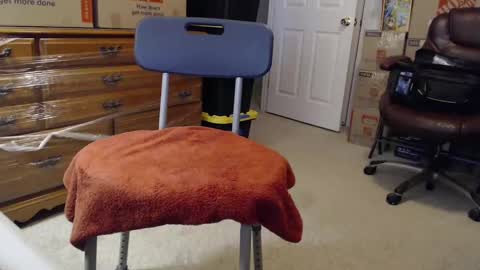 Sammy online show from November 3, 2025, 2:29 pm