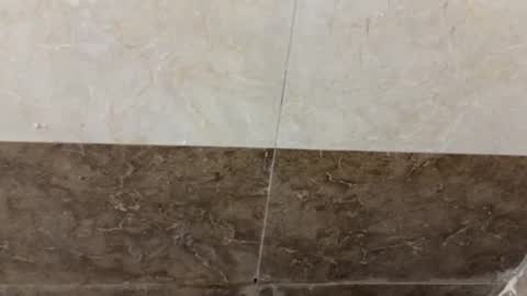 Snapshot of samnivin chatting on November 1, 2025, 5:04 pm samnivin online show from November 1, 2025, 5:04 pm