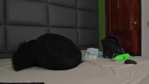 Snapshot of santi_delacruz chatting on March 11, 2025, 6:30 pm santi online show from March 11, 2025, 6:30 pm