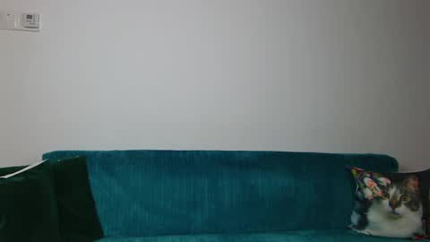 Im Sara I am happy to be here  online show from April 30, 2026, 6:09 am