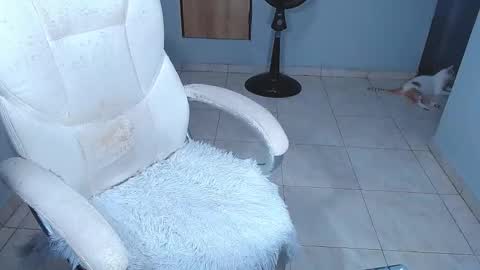 Sara online show from February 15, 2026, 7:10 pm