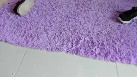 sarah  cinnamon online show from December 18, 2025, 6:58 pm