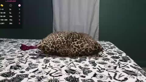 Sarah Babes online show from June 29, 2026, 3:02 am