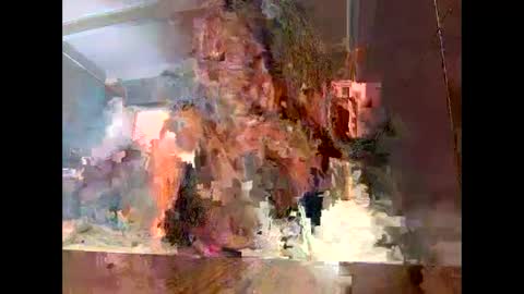 Snapshot of sassyella chatting on September 9, 2025, 3:39 am Sassyella online show from September 9, 2025, 3:39 am