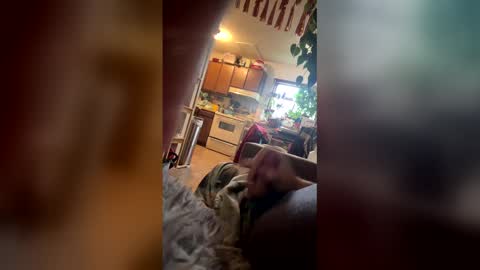 satchster online show from April 14, 2026, 2:12 pm