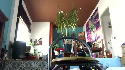 satur850 online show from December 5, 2024, 9:17 am