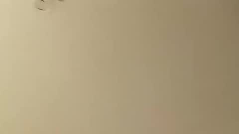 Snapshot of saucybear666 chatting on January 26, 2025, 5:13 am SnowBunny online show from January 26, 2025, 5:13 am