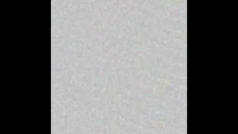 Venus online show from November 16, 2025, 2:00 pm