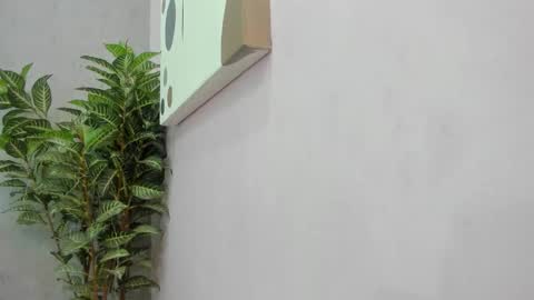 Snapshot of scarlett646 chatting on December 2, 2025, 3:12 am Scarlett 3 online show from December 2, 2025, 3:12 am