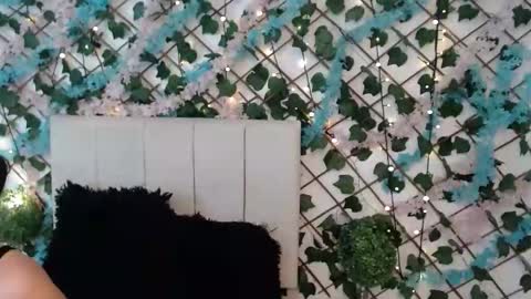 SCARLET online show from January 17, 2026, 10:42 am