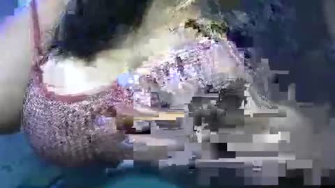 Snapshot of schoco_milf chatting on April 25, 2026, 10:40 am mai latina online show from April 25, 2026, 10:40 am