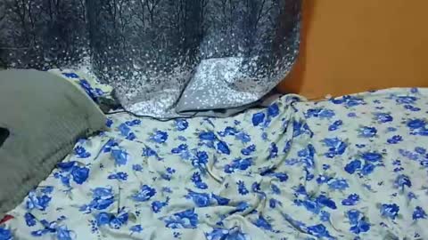 Its Lilly online show from January 24, 2025, 3:11 am