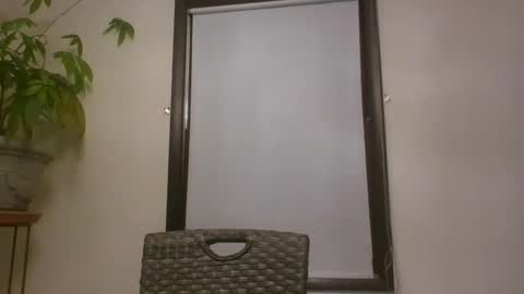 scottpbi52 online show from January 7, 2025, 11:03 pm