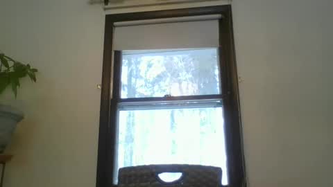 scottpbi52 online show from February 20, 2025, 1:30 pm