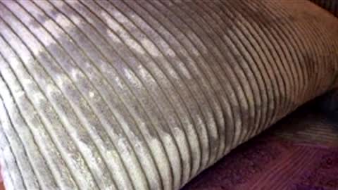 scotty2hotty46_ online show from February 21, 2026, 5:41 am