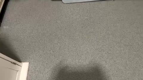 scottyc48 online show from November 23, 2025, 7:41 am