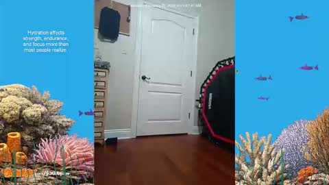 ScrubbyLuv online show from February 26, 2026, 7:07 am