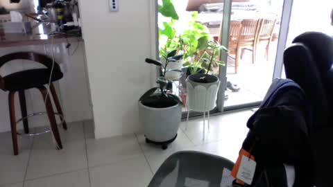 Snapshot of sebastianalll chatting on December 30, 2024, 12:22 am sebastianalll online show from December 30, 2024, 12:22 am